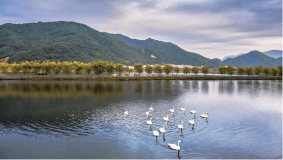 水与废水检测(图1)